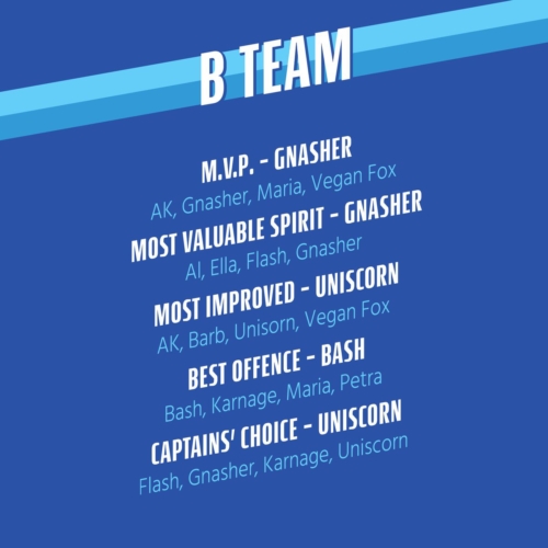 BTeam